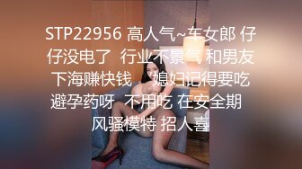 车震西安某商城气质女