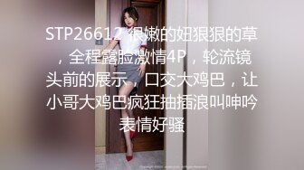 ✨华人网黄刘玥闺蜜「Fanny Ly」「李月如」OF私拍 情趣女仆一边揉搓阴蒂一边用肉棒玩具抽插