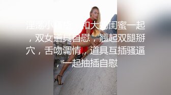 六月最新厕拍大神砍人高价收费群流出酒店女厕双镜头偷拍颜值美女尿尿 (1)