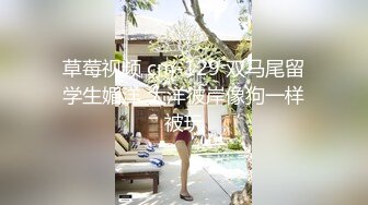 [无码破解]DKTM-017 俺の妻と母が修羅場過ぎて困ってます！！ 松本まりな 瀧川花音