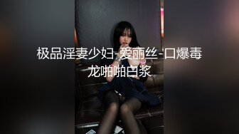 极品淫妻少妇-爱丽丝-口爆毒龙啪啪白浆