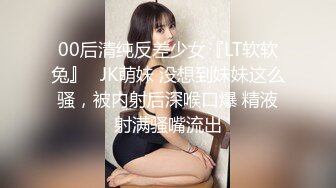 国产AV 葫芦影业 HLW013 农民工大战高傲母女