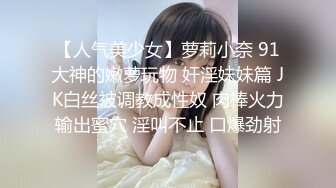 【韩国三级】小姐姐2 高清韩语无字