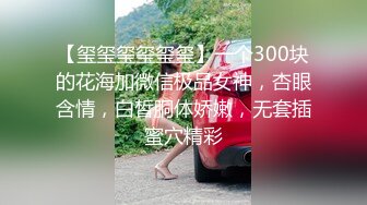 麻豆传媒 特别企划 丘比特之富家千金