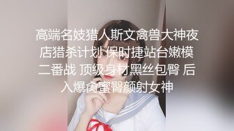 [2DF2]退役空姐，大长腿美乳，风情万种，诱人大胸，姿势繁多创新 - soav_evMerge [BT种子]