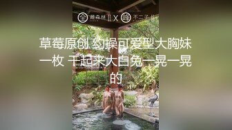 ★☆【极品性爱❤️淫乱群交】加拿大华人圈『索菲娅』最新VIP订阅私拍③多对夫妻聚众淫乱 淫乱趴乱交 高清1080P原版