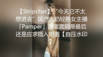 无水印11/28 模特女神性感美腿丝袜第一视角大屌插嘴骑乘位操美臀VIP1196