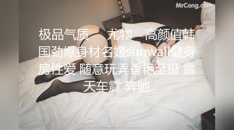 小烧妇自动打桩