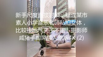 高人气PANS极品反差，娇羞小姐姐【紫精】私拍现场，情趣无内露奶露逼，摄影师对话是亮点