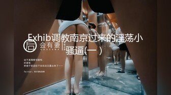 情趣房女仆炮友3