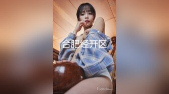 星空传媒房东怀了我的孩子北漂真苦软饭真香-何苗720P高清原版