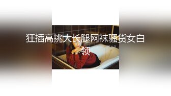 狂插高挑大长腿网袜骚货女白领