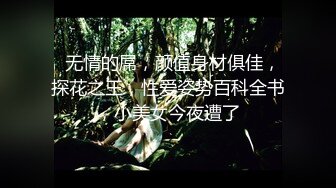 秦先生第04部与兼职模特琪琪电影院厕所激情