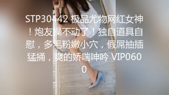 STP30442 极品尤物网红女神！炮友操不动了！独自道具自慰，多毛粉嫩小穴，假屌抽插猛捅，爽的娇喘呻吟 VIP0600