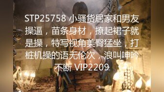 STP25758 小骚货居家和男友操逼，苗条身材，撩起裙子就是操，特写视角美臀猛坐，打桩机操的语无伦次，浪叫呻吟不断 VIP2209