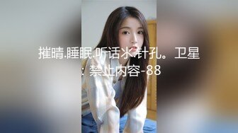 (麻豆傳媒)(msd-0067)(20240123)千總出獄後的復仇-袁子儀