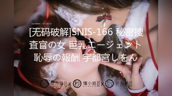 [无码破解]SNIS-166 秘密捜査官の女 巨乳エージェント恥辱の報酬 宇都宮しをん