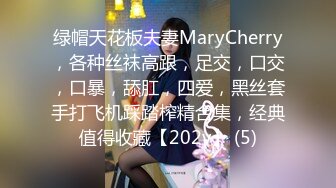 绿帽天花板夫妻MaryCherry，各种丝袜高跟，足交，口交，口暴，舔肛，四爱，黑丝套手打飞机踩踏榨精合集，经典值得收藏【202v】 (5)