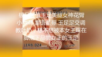 麻豆传媒 MD-0265 丰满汽车女销售的车震b推销-莫夕慈