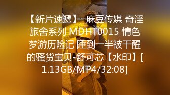 国产麻豆AV MDX MDX0008 外送茶快递