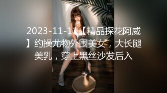 2023-11-11【精品探花阿威】约操尤物外围美女，大长腿美乳，穿上黑丝沙发后入