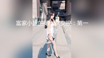 国产麻豆AV MD MD0203 迷奸女租客 苏娅 玥可岚