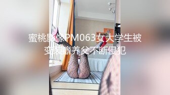 涩会传媒SH-012合租的陌生人-吴心语【MP4/331MB】