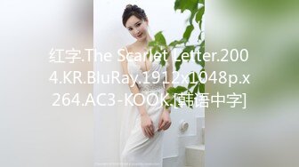 红字.The Scarlet Letter.2004.KR.BluRay.1912x1048p.x264.AC3-KOOK.[韩语中字]