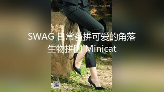 SWAG 日常番拼可爱的角落生物拼图 Minicat