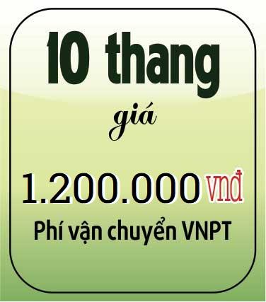 10 thang giá 800.000 vnđ + phí vận chuyển